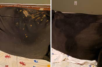 a reviewer's couch with poop stains on it and then clean
