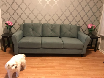 reviewer image of sofa in home
