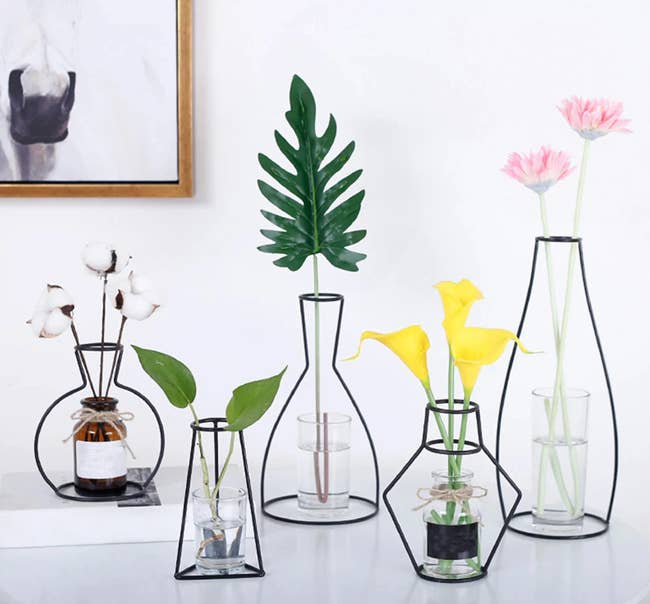 Five circular and narrow metal framed vases with plants inside of them on a white tabletop 