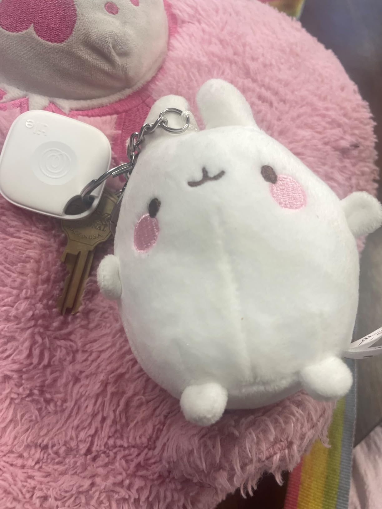 Plush keychain successful  the signifier   of a cute carnal  with rosy cheeks, attached to a acceptable   of keys with a quadrate  tracking device