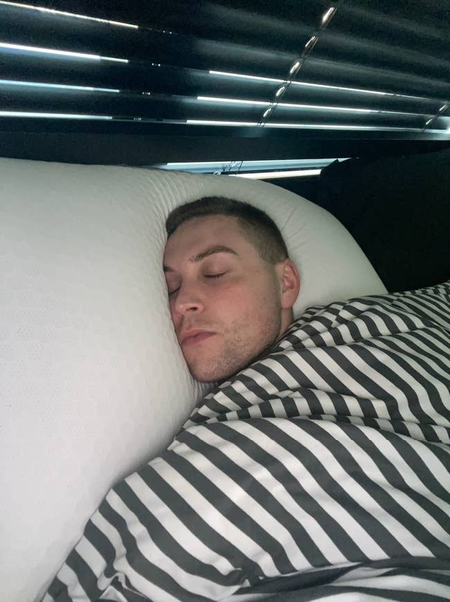 BuzzFeeder sleeping on a large white pillow