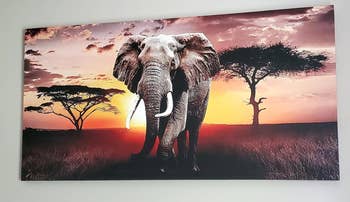reviewer's painting of an elephant in front of a sunset with trees