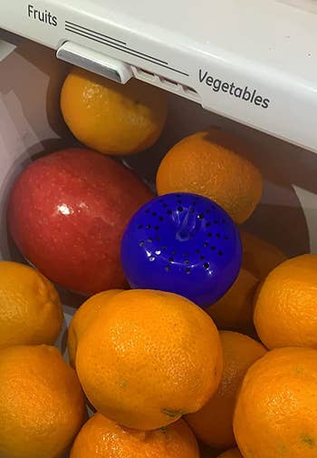 reviewer image of the blue apple produce saver in a drawer of fruits