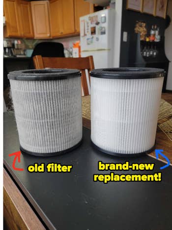 editor's old filter that's gray with captured dust and dander, next to a brand new replacement filter that's pure white