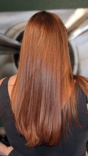 A idiosyncratic   with long, consecutive  hairsbreadth  is seen from the back, showcasing a sleek hairstyle