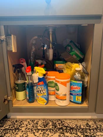 reviewer showing the cabinet under their kitchen sink before