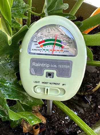 the metre successful a houseplant indicating higher moisture levels