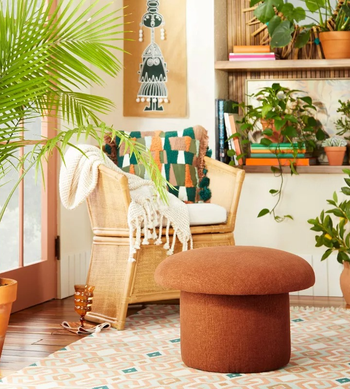 the brown mushroom stool