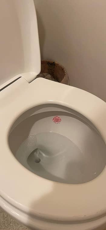 Reviewer's toilet with the stamp cleaner gel inside