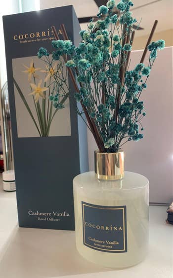 reviewer's Cocorrina Cashmere Vanilla reed diffuser with dried flowers, showcased with its packaging box