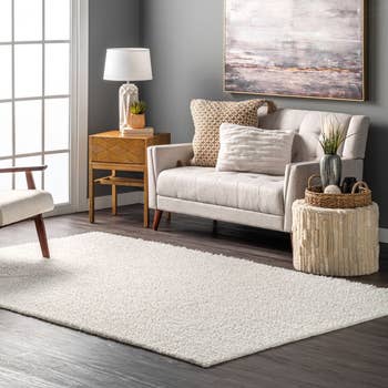 Image of white rug in living room