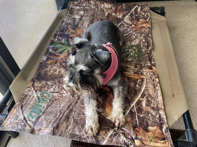 Dog laying on top of camouflage cooling pad 
