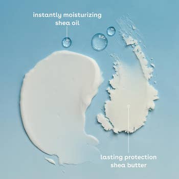 Moisturizing shea oil and lasting protection shea butter shown on a textured surface