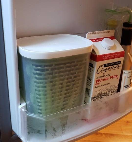 reviewer image of the herb keeper in the side of a fridge