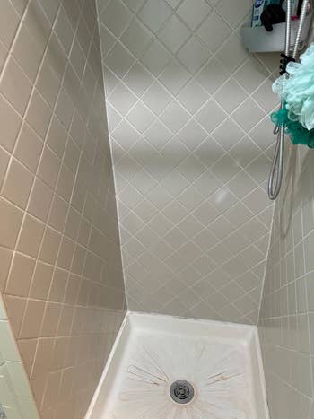 Shower stall with tiled walls, showerhead, and a greenish loofah hanging connected the right