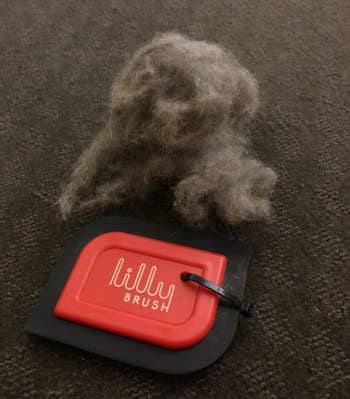 the palm sized red scraper with a pile of hair from the rug larger than it