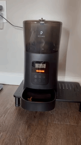 gif of BuzzFeeder's automatic cat feeder dispensing food