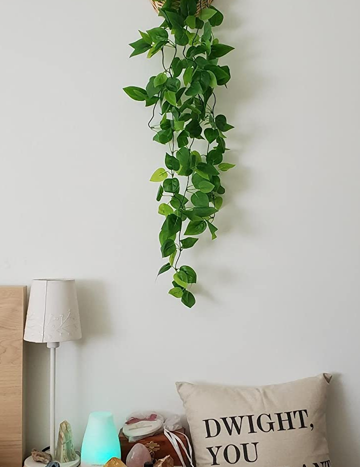 Reviewer image of green fake hanging ivy in a woven basket on a white wall