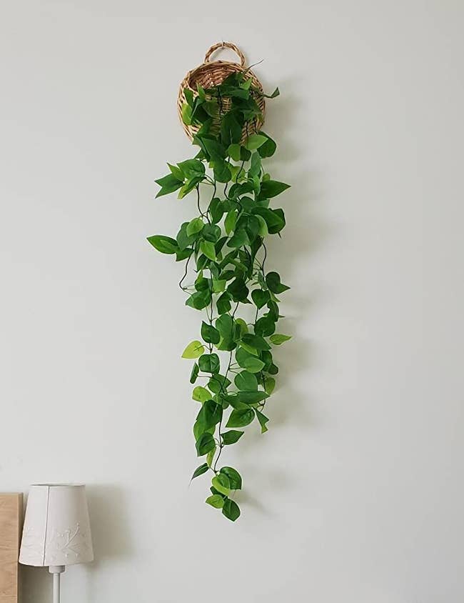 Reviewer image of green fake hanging ivy in a woven basket on a white wall