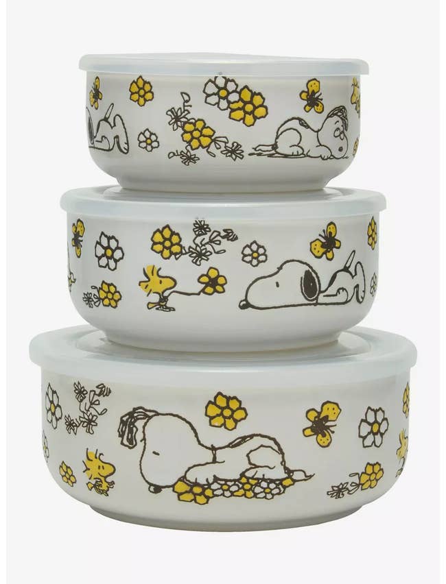 Three stackable containers diagnostic Snoopy and Woodstock illustrations with floral designs. Suitable for room oregon retention use