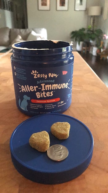 Reviewer pic of the allergy treats next to a nickel for size comparison
