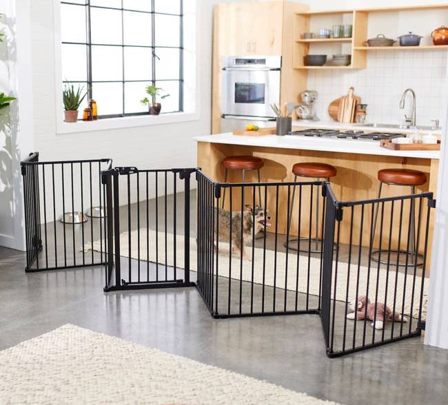 Pet gate set up in a modern kitchen with a dog inside, surrounded by stools and kitchen appliances, showcasing its use for sectioning spaces