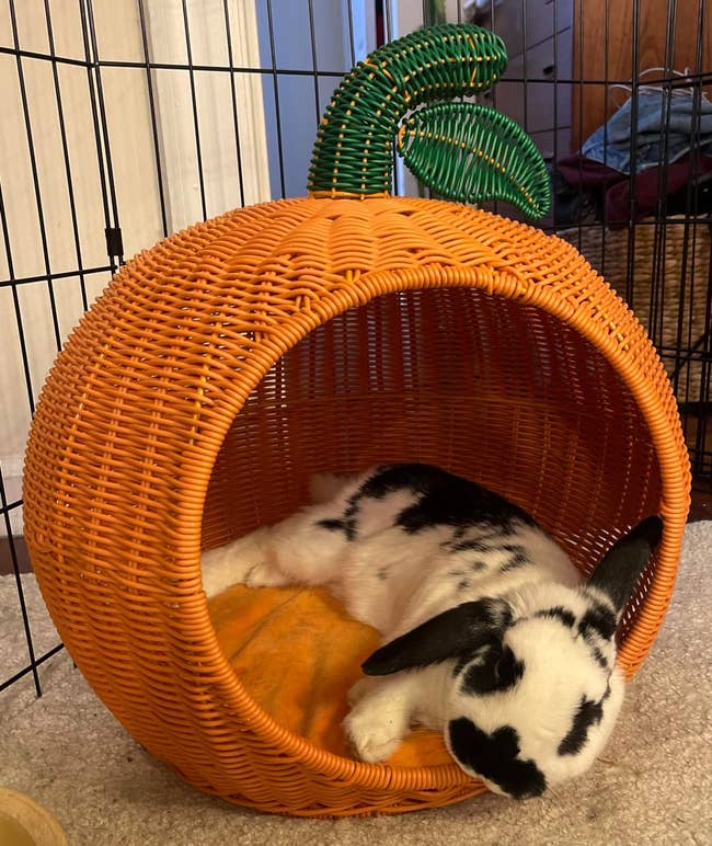 A black and white rabbit resting inside an orange, dome-shaped wicker pet bed with a leaf design on top
