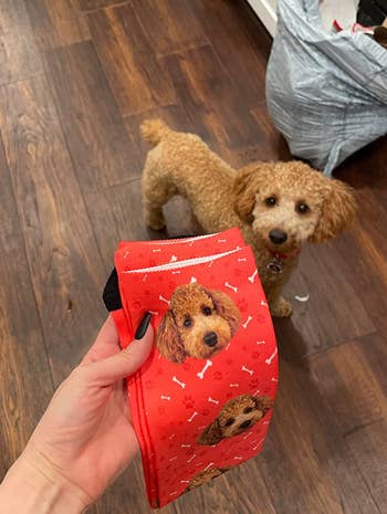 reviewer holding red sock with their dog on it with their dog in the background