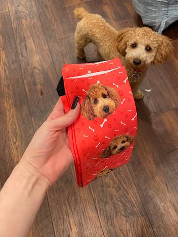 reviewer holding red sock with their dog on it with their dog in the background