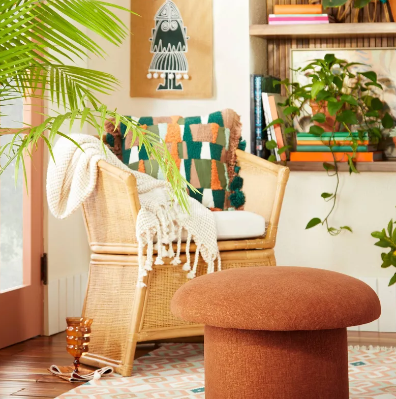 the brown mushroom stool 