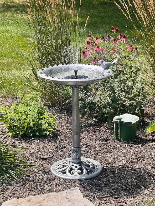 Ornate birdbath successful  a plot  with flowers, grass, and a decorative vertebrate  perched connected  the edge