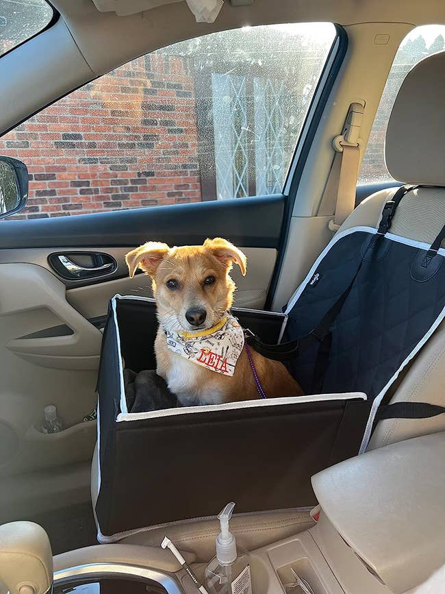 dog sitting in pet car seat in the passenger seat