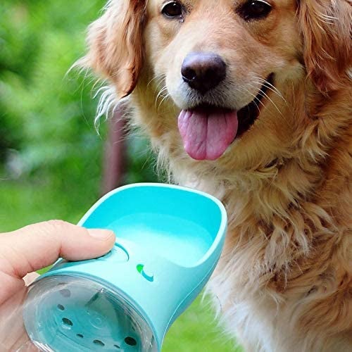 dog drinking out of a spout attached to a small water botlte