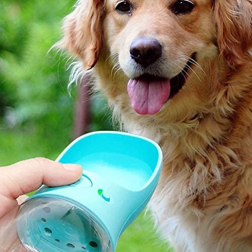 dog drinking out of a spout attached to a small water botlte 