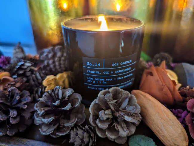a reviewer's candle surrounded by pinecones