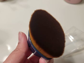 A reviewer's brush showing its bristles