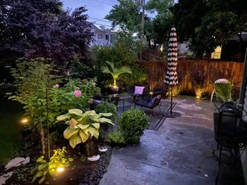 reviewer's landscape with ground lights installed throughout illuminating plants and various features 