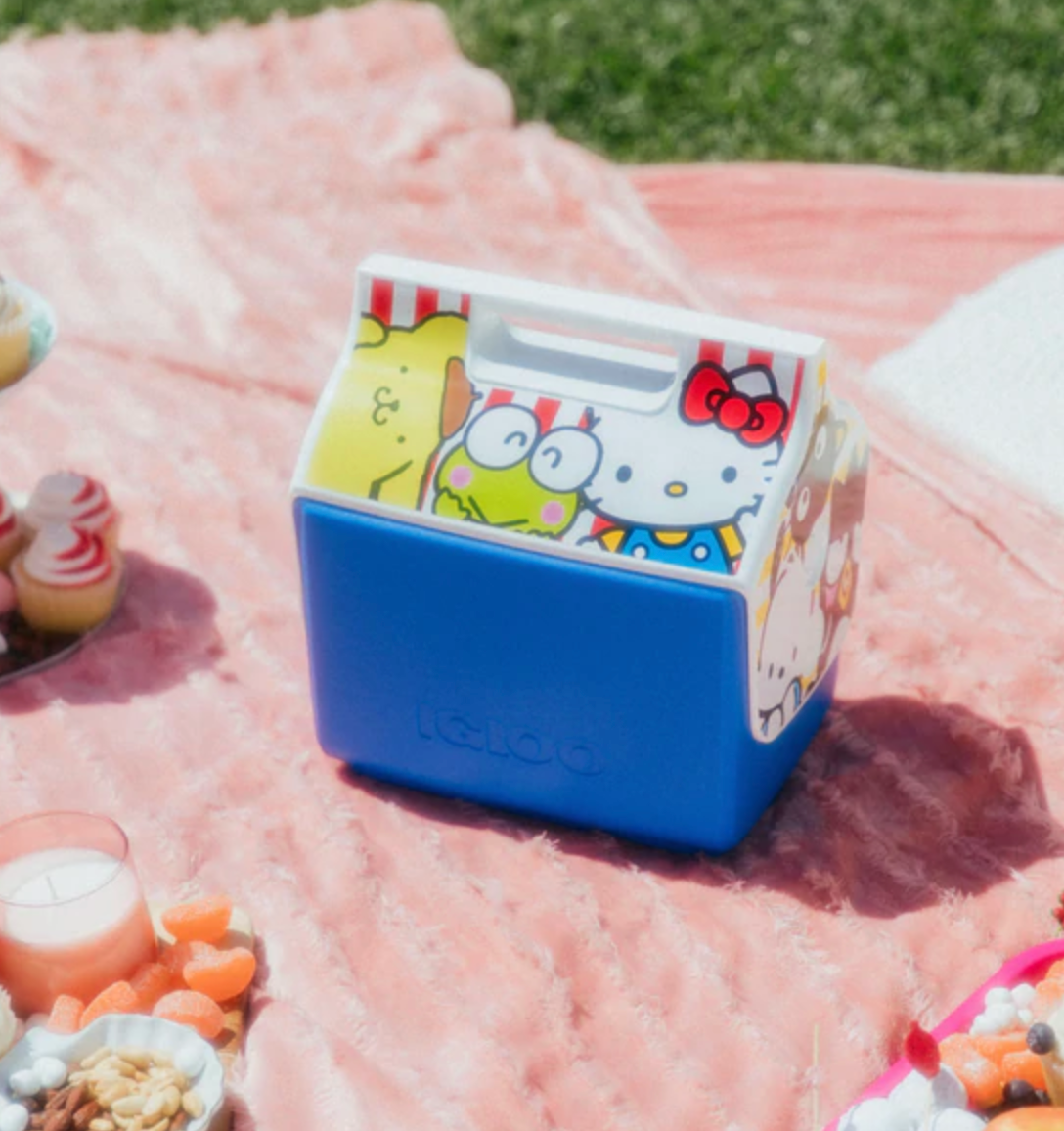The cooler with Hello Kitty and Friends on the lid