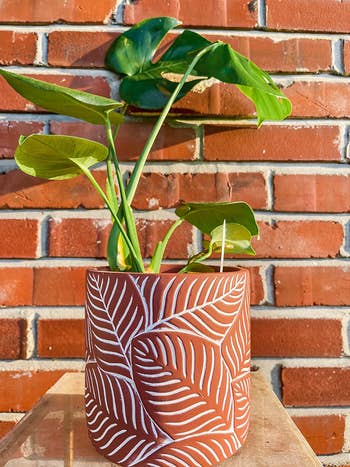 a terracotta colored planter with a leaf design