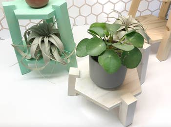 several hexagonal plant stands