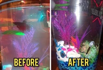 A reviewer's fish tank looking foggy before adding the conditioner and crystal clear after adding it