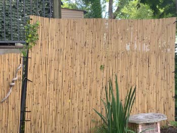 Bamboo privateness surface successful a backyard mounting with greenery, providing a earthy and stylish obstruction solution for outdoor spaces