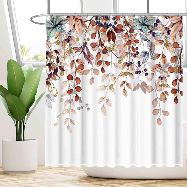 an autumnal curtain