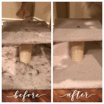 Before and aft  images of a feline  scratching post. Left is covered successful  fur and dirt; close    is cleanable  and tidy, highlighting effectual  cleaning