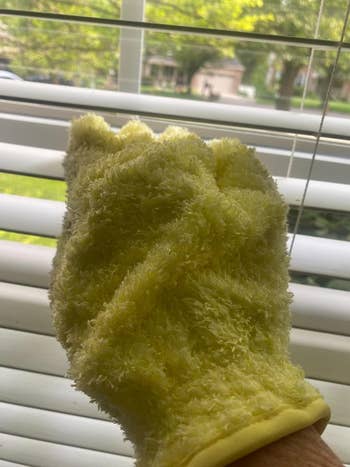 reviewers hand in glove in front of their blinds