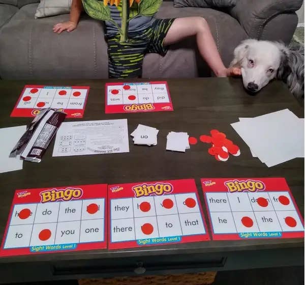 A reviewer playing Bingo with their child