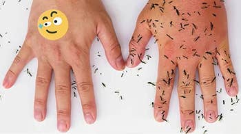 A child's hands: one with the sticker and one without. There are a bunch of mosquitos on the hand without the sticker