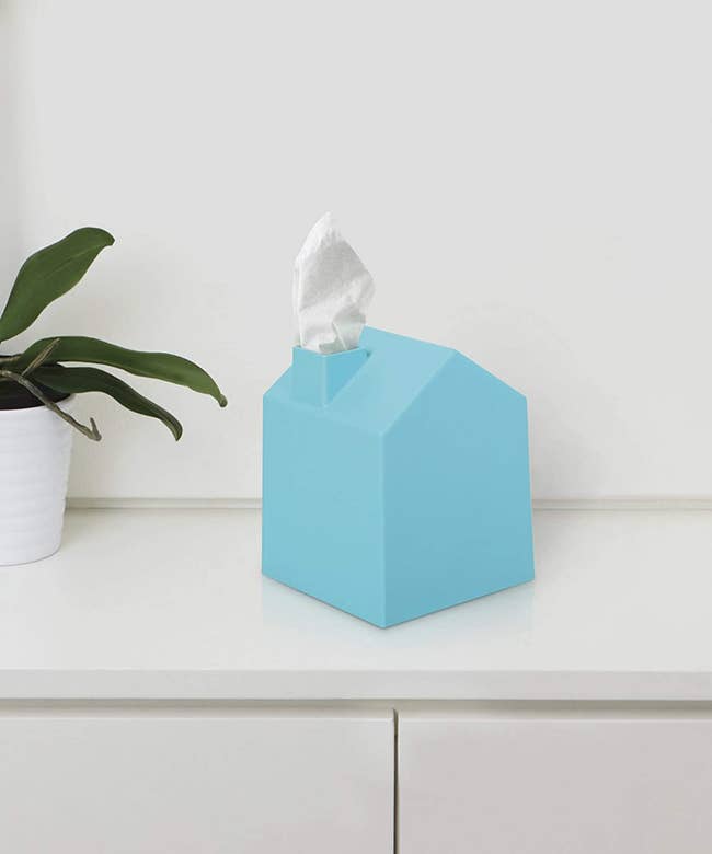 Blue house-shaped tissue box sitting on table