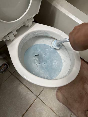 reviewer cleaning their toilet with clorox wand