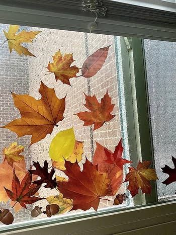 Autumn leaves successful assorted shapes and sizes decorate a window, creating a seasonal display. A ceramic partition is disposable outside